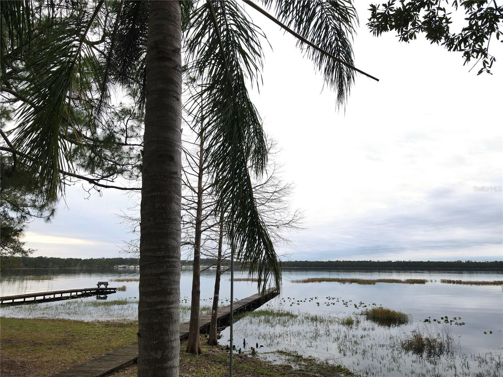 Photo #45