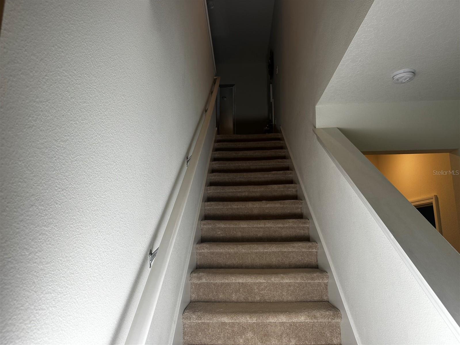 Photo #24