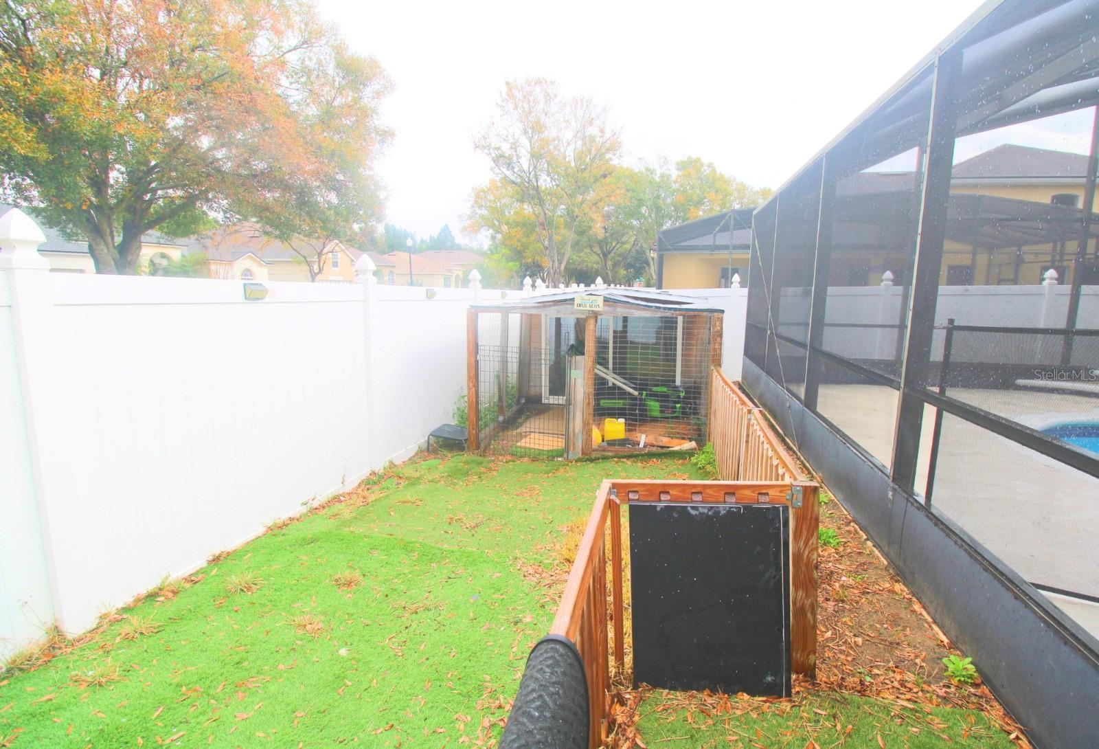 Photo #29