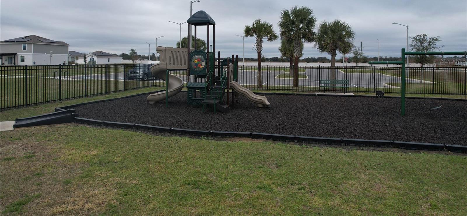 Photo #41