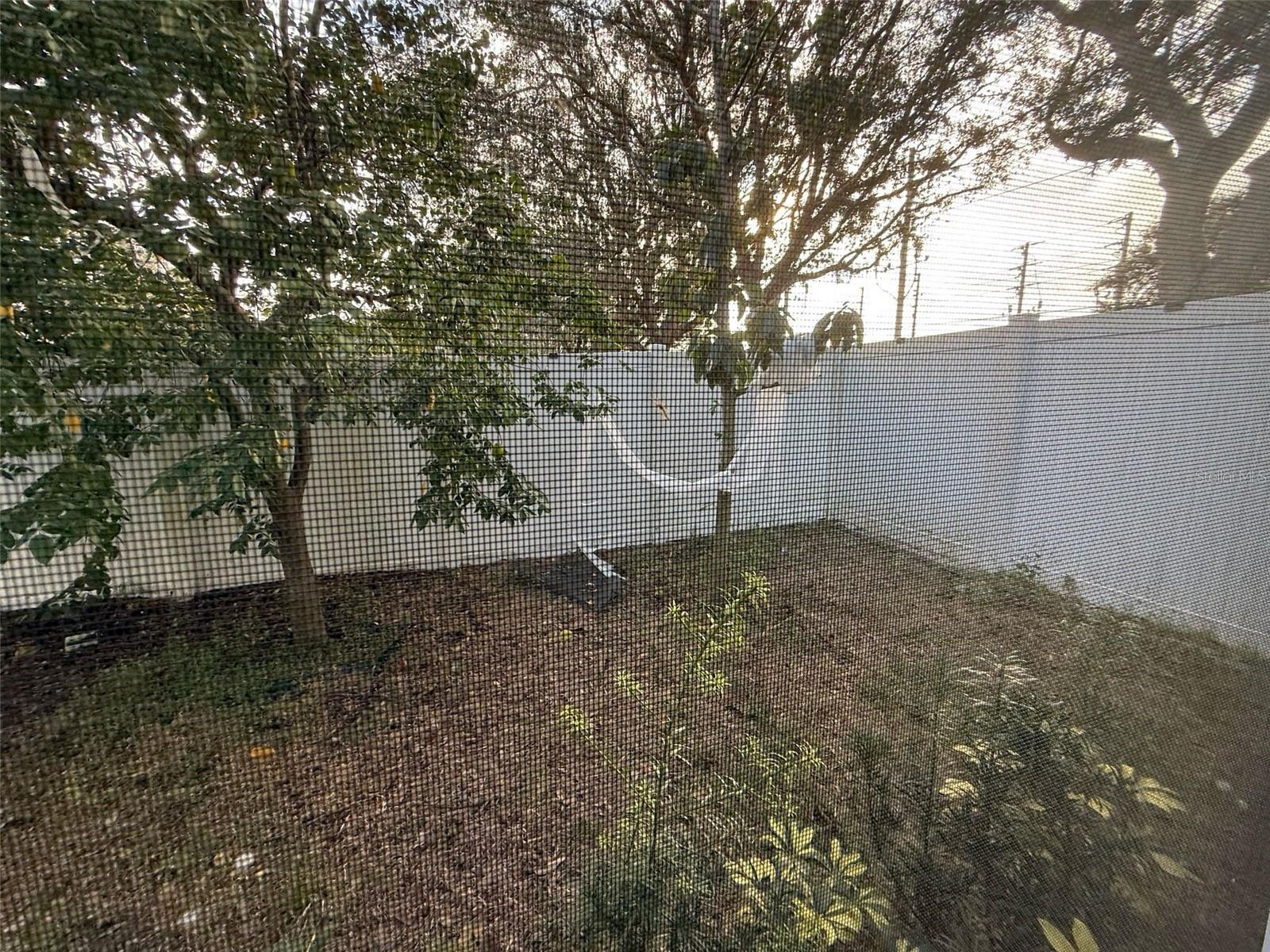 Photo #58