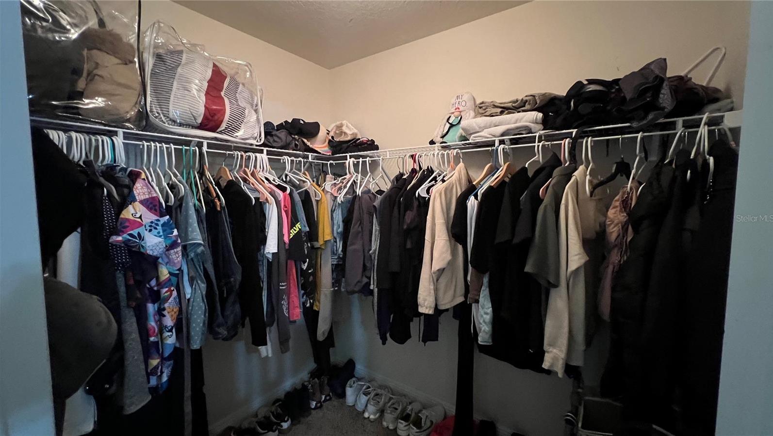 Photo #8