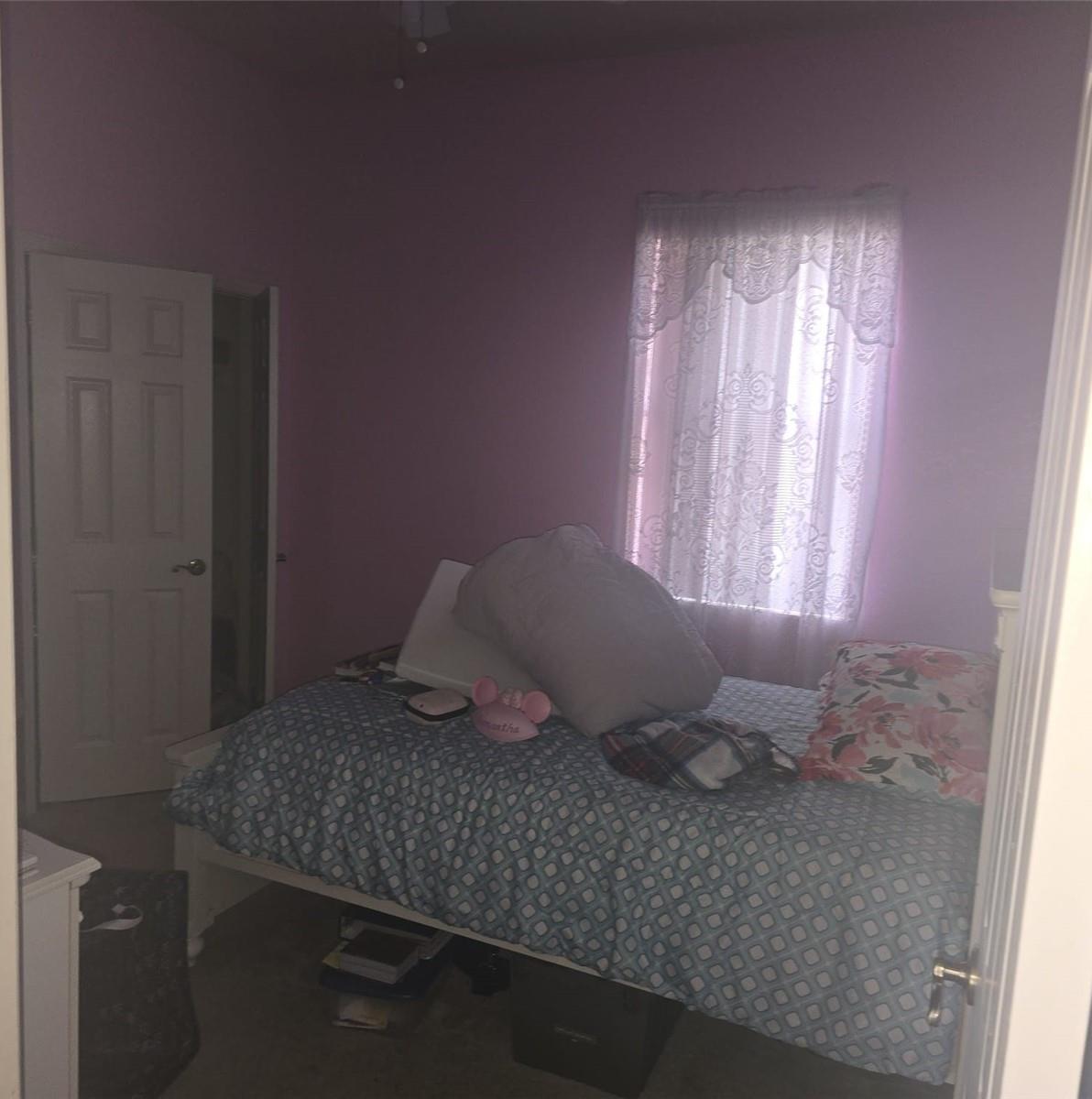Photo #12