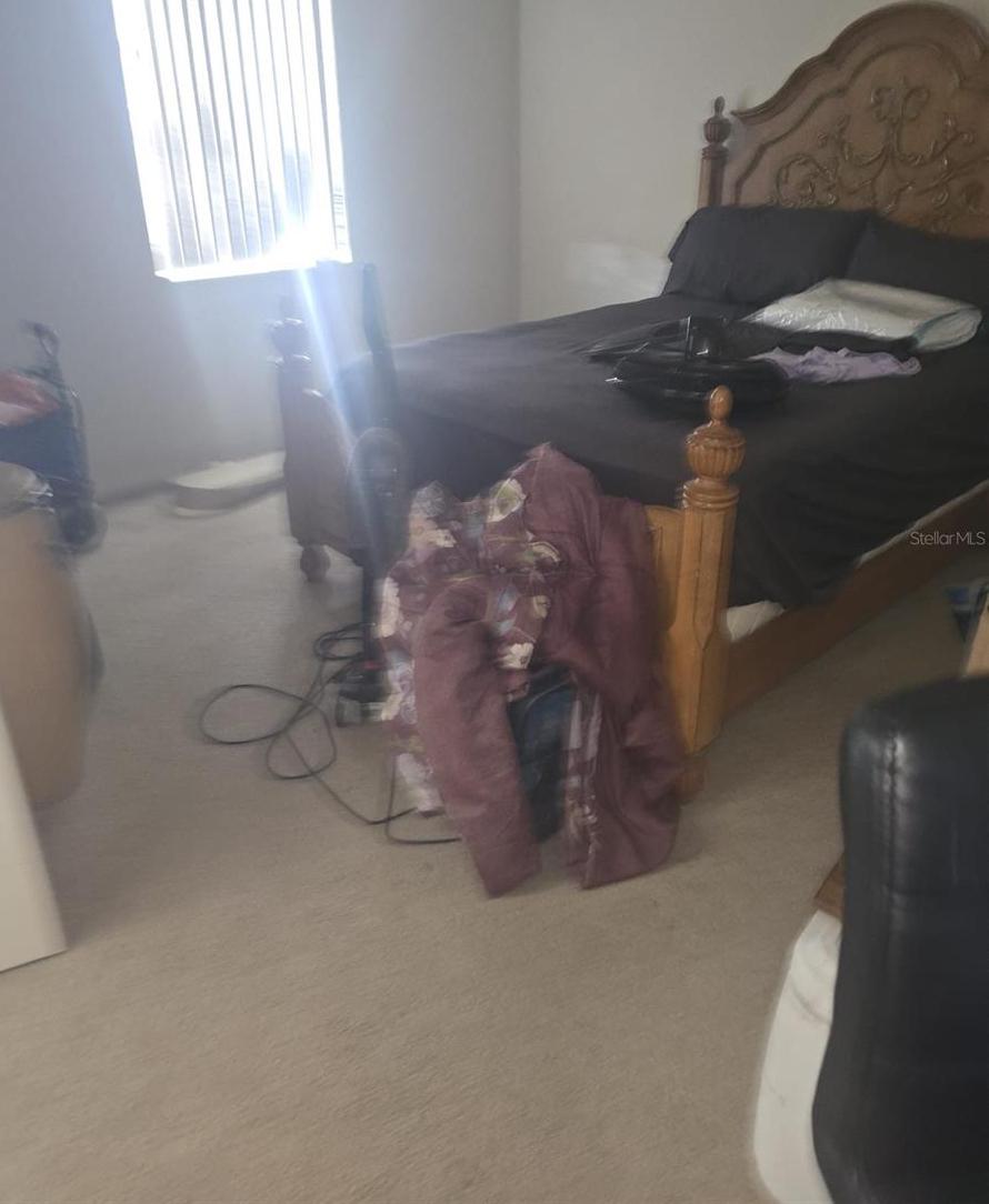 Photo #13