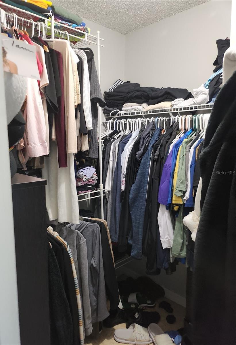 Photo #53