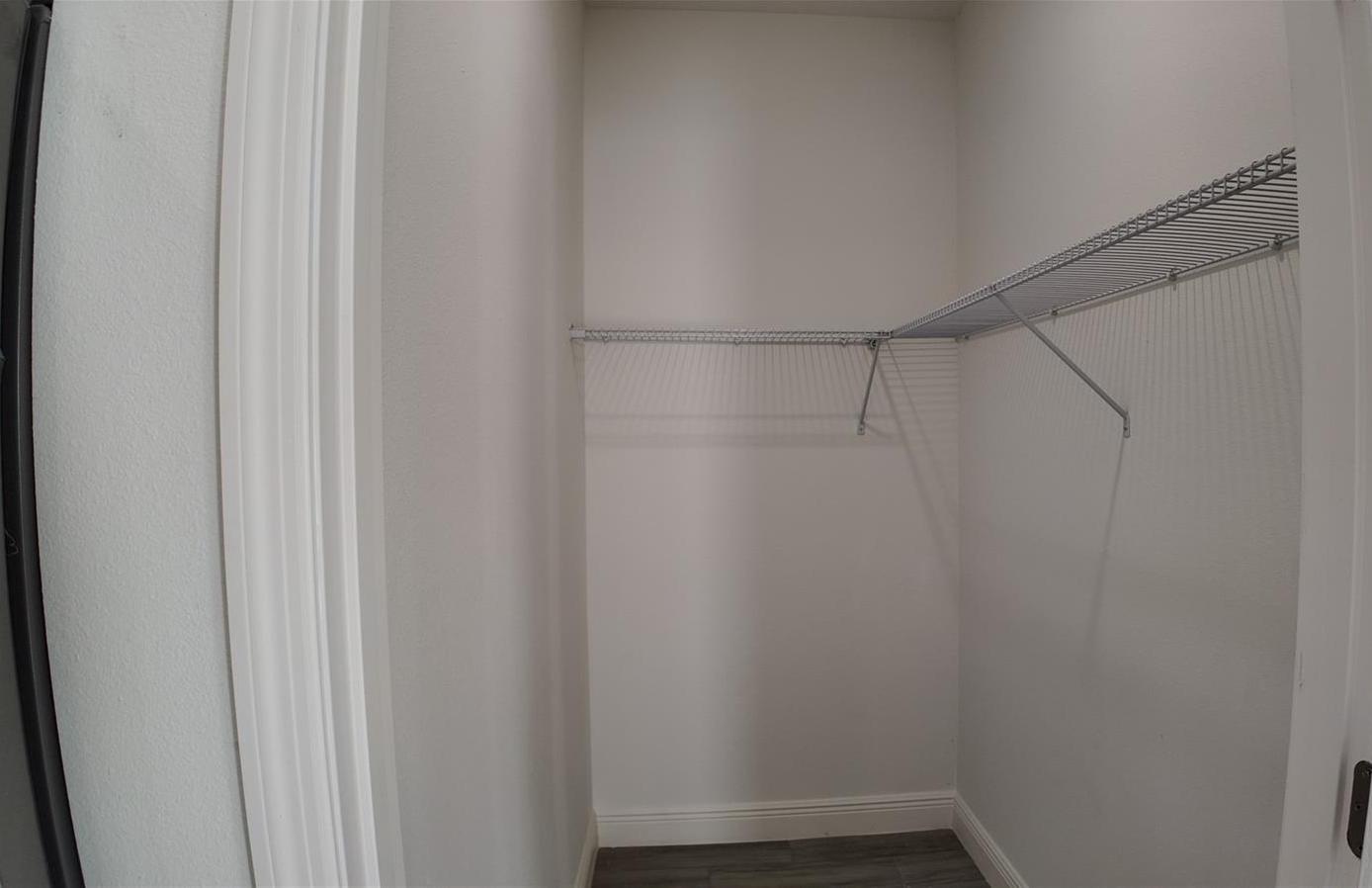 Photo #12