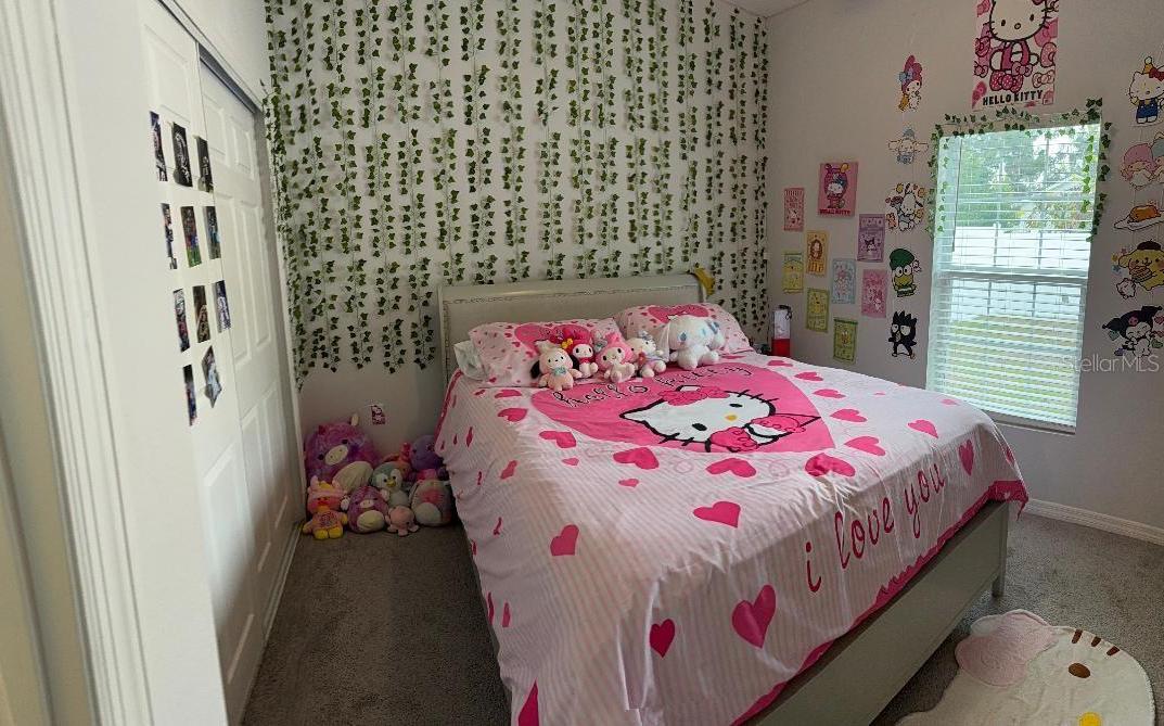 Photo #17