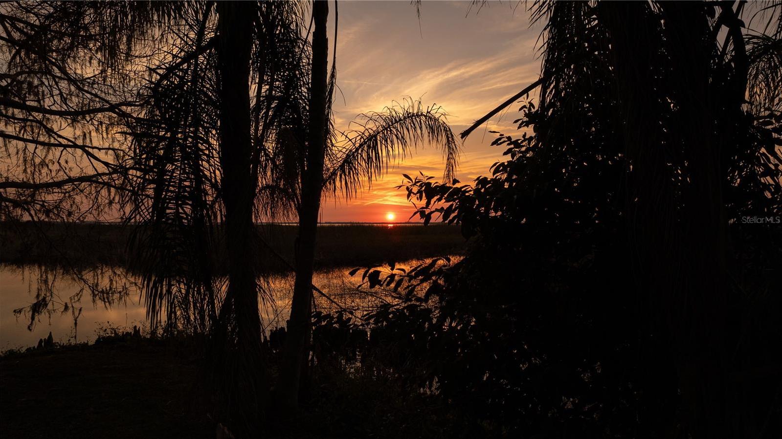 Photo #41