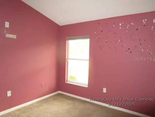 Photo #7