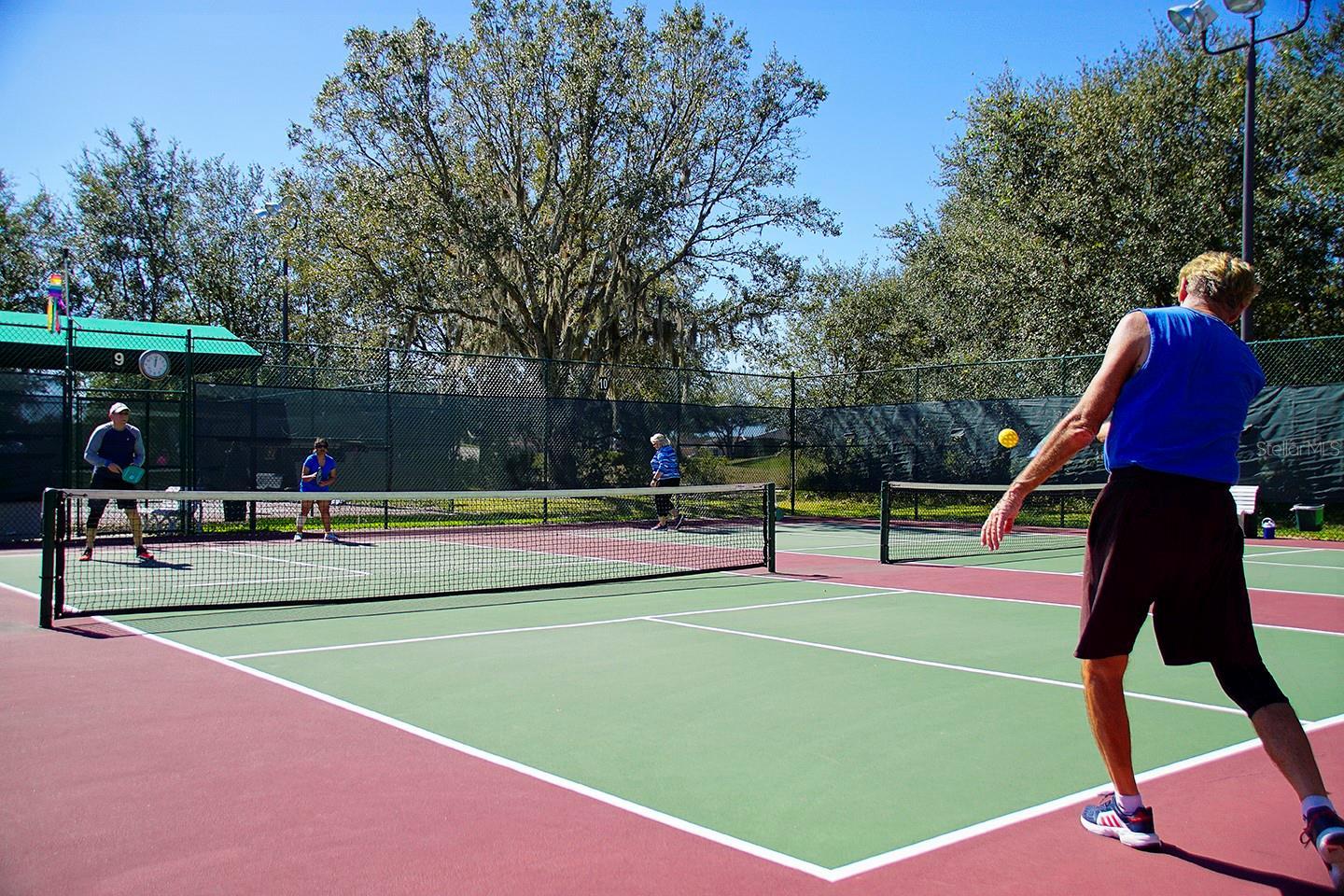 Photo #79