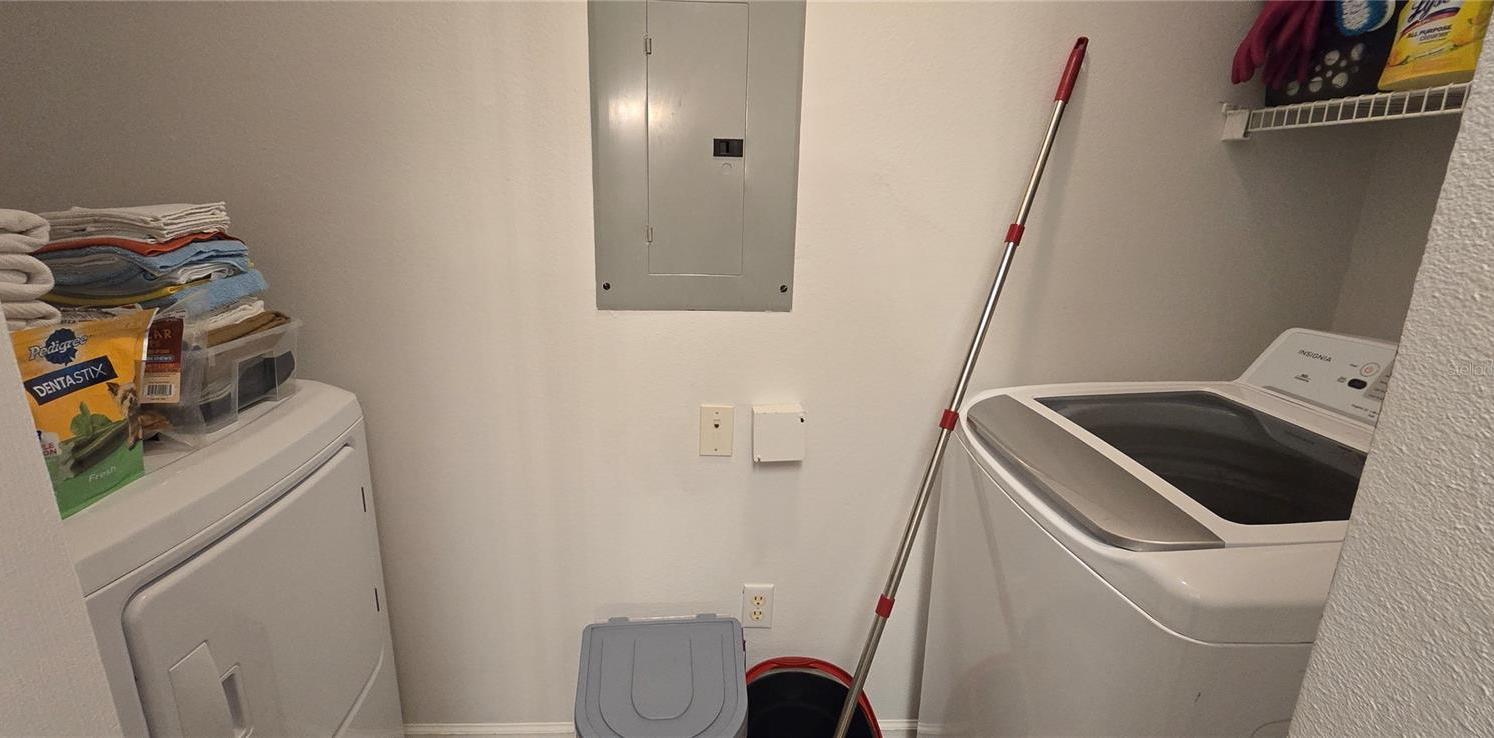 Photo #24