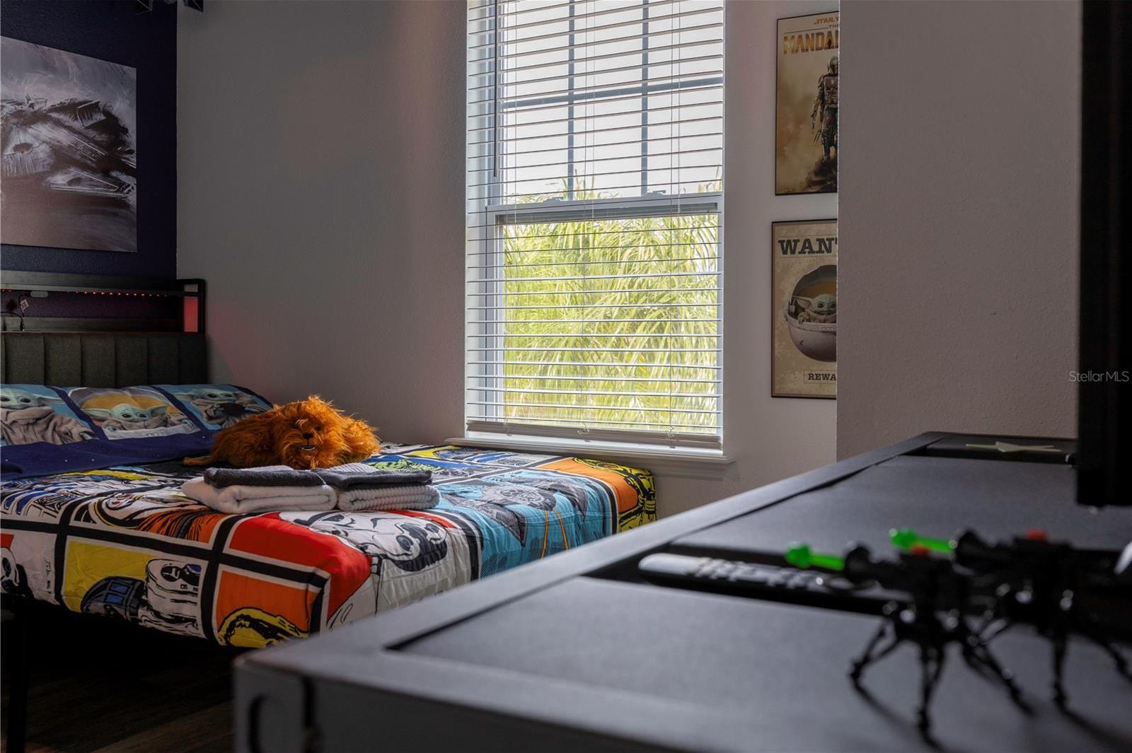 Photo #41