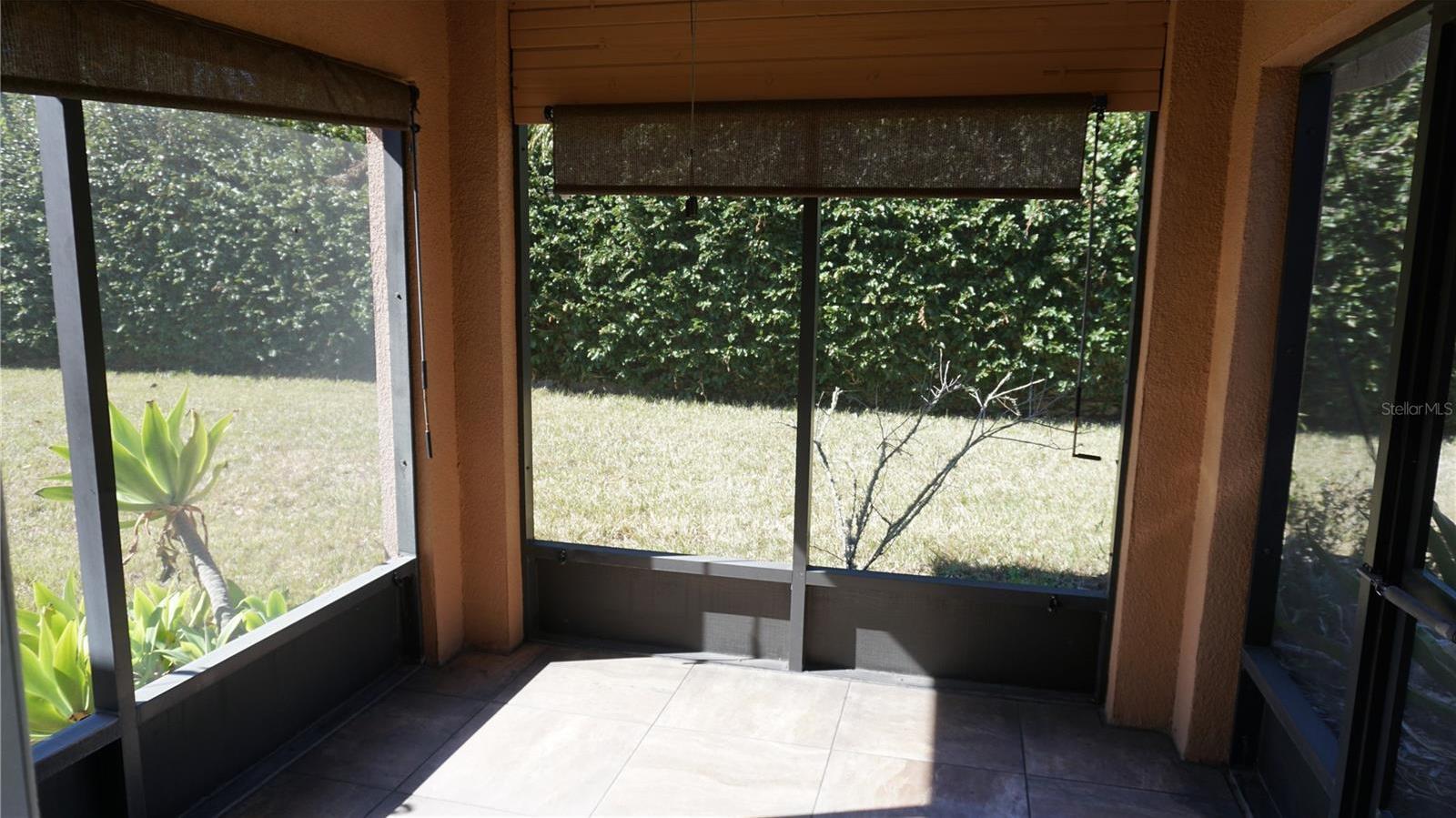 Photo #8