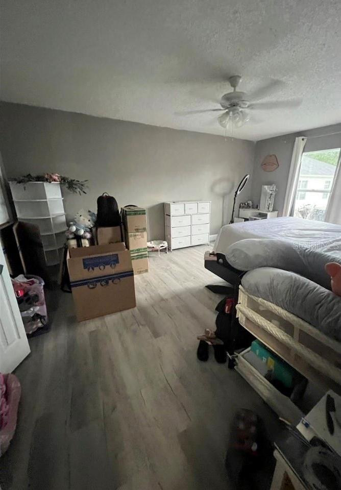 Photo #15