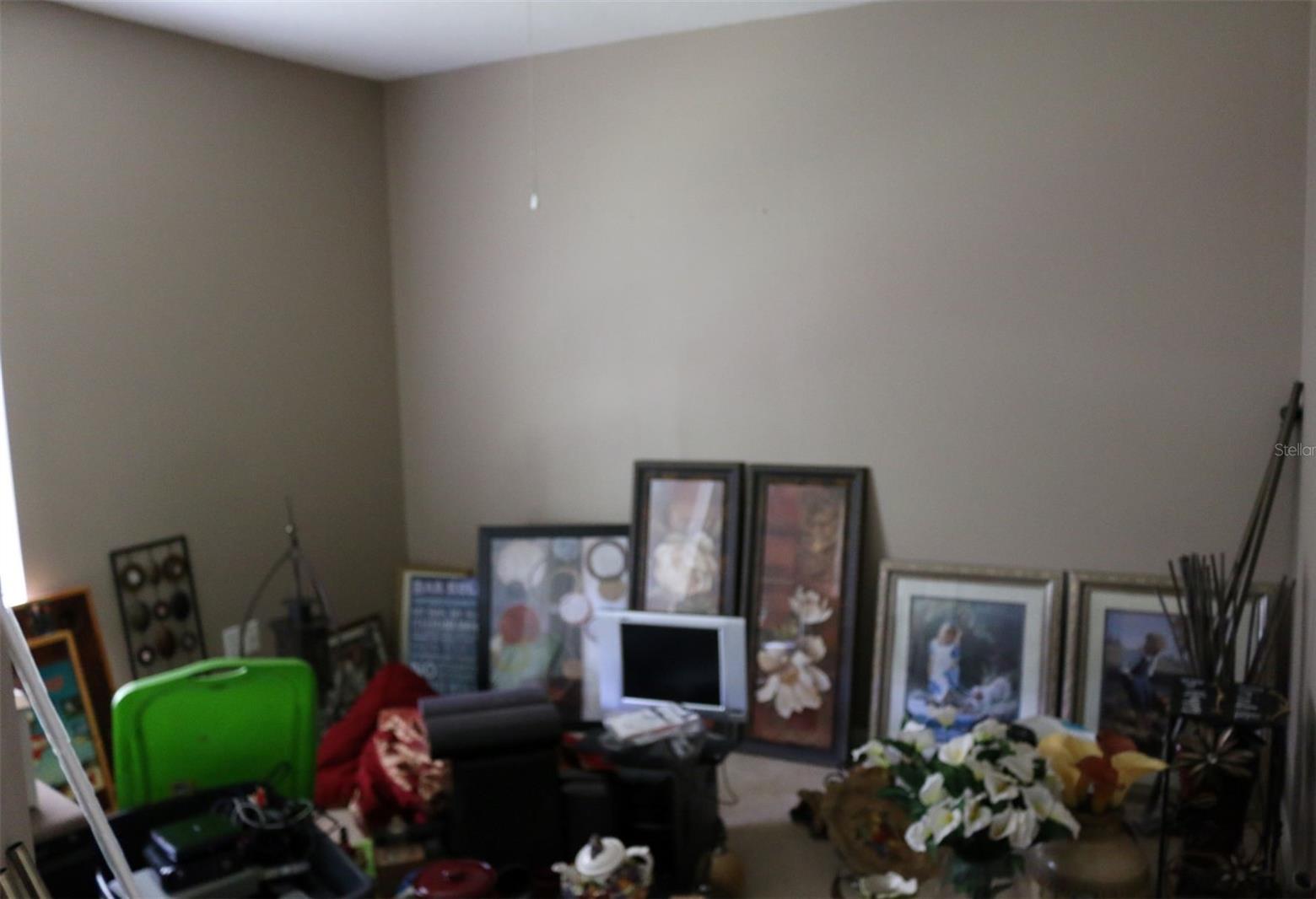 Photo #16