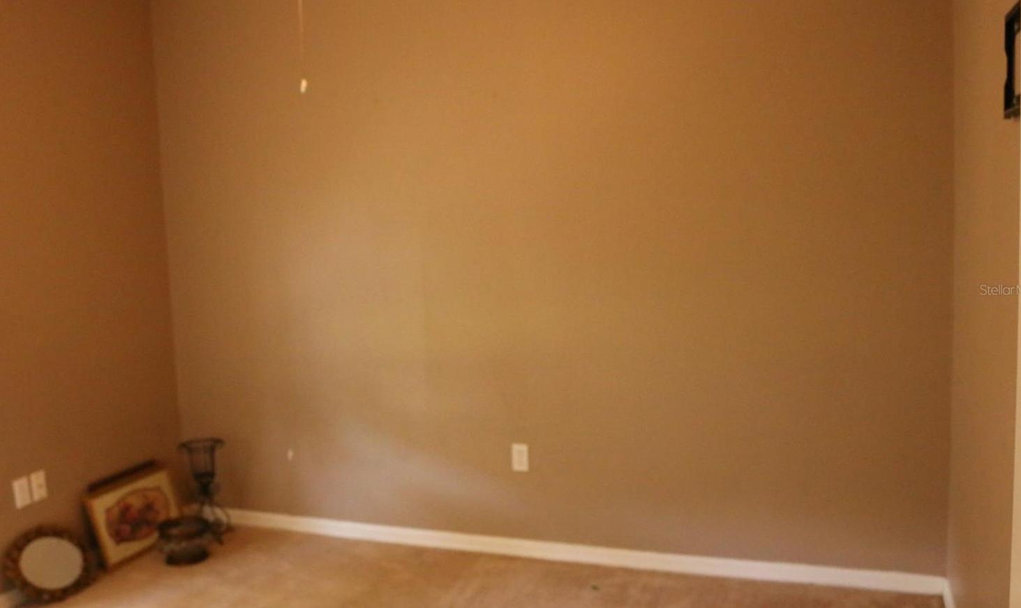 Photo #14