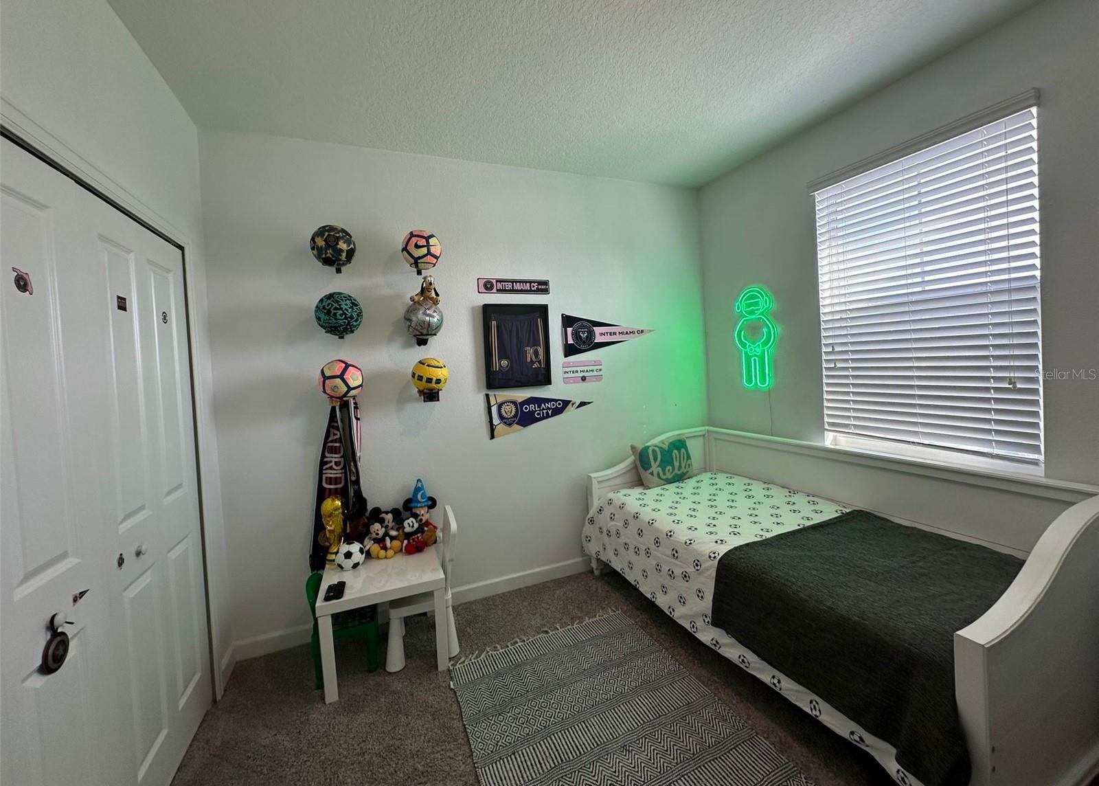 Photo #12