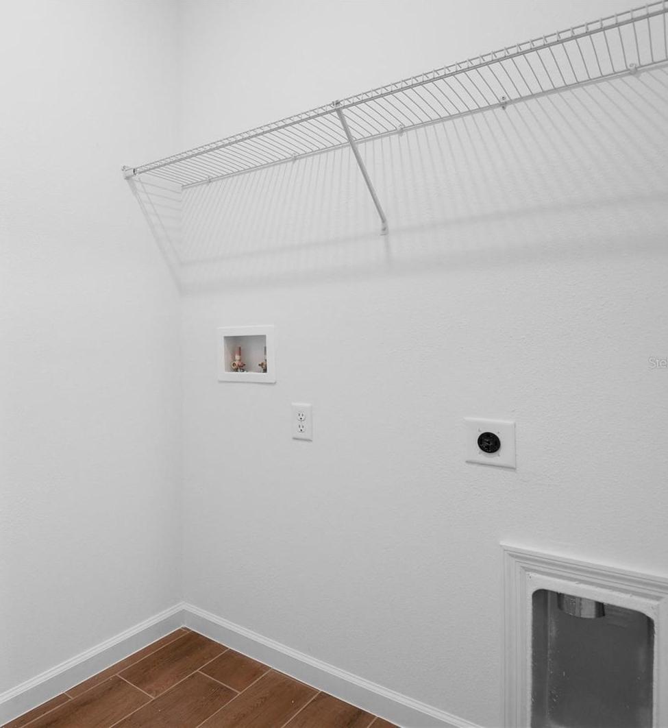 Photo #15