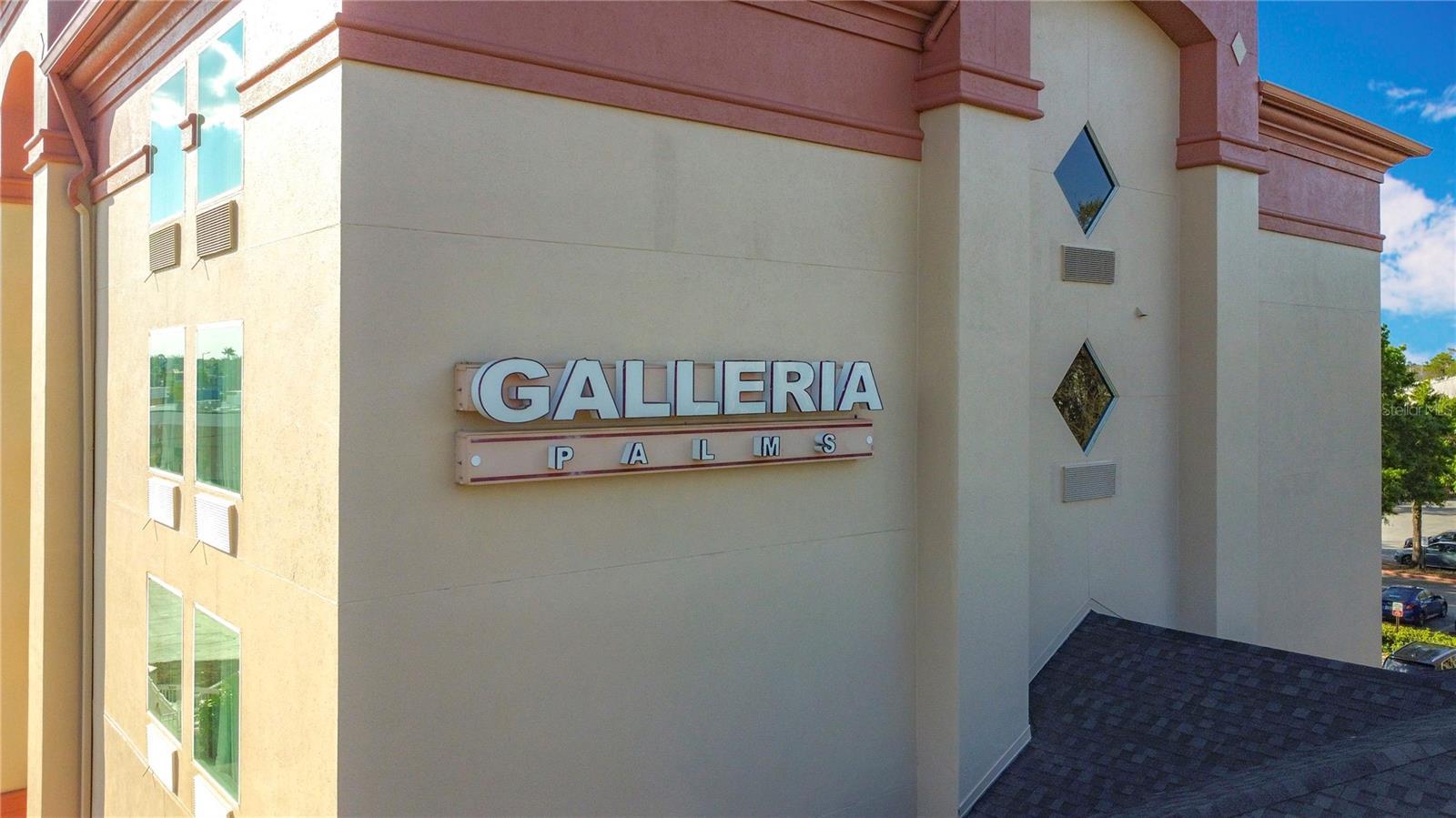 Photo #8