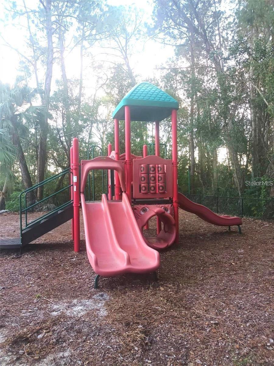 Photo #31