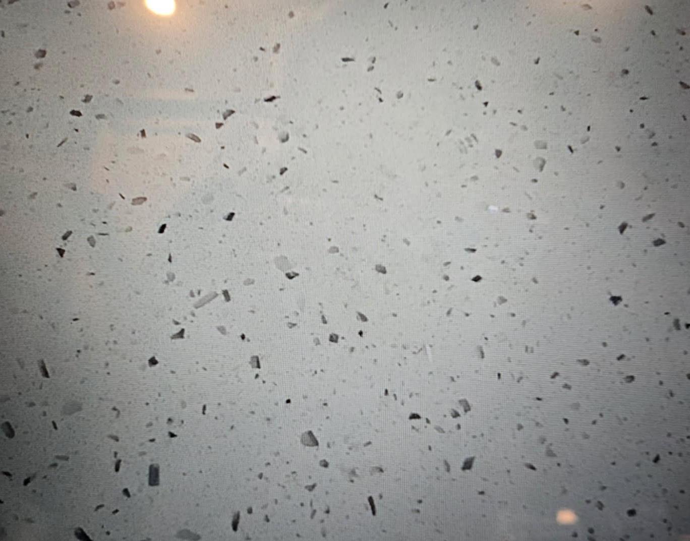 Photo #13