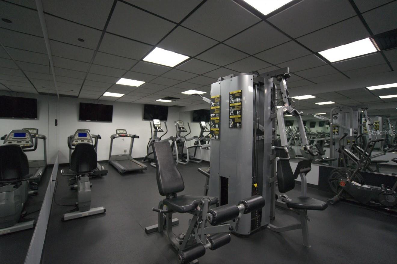 Photo #36