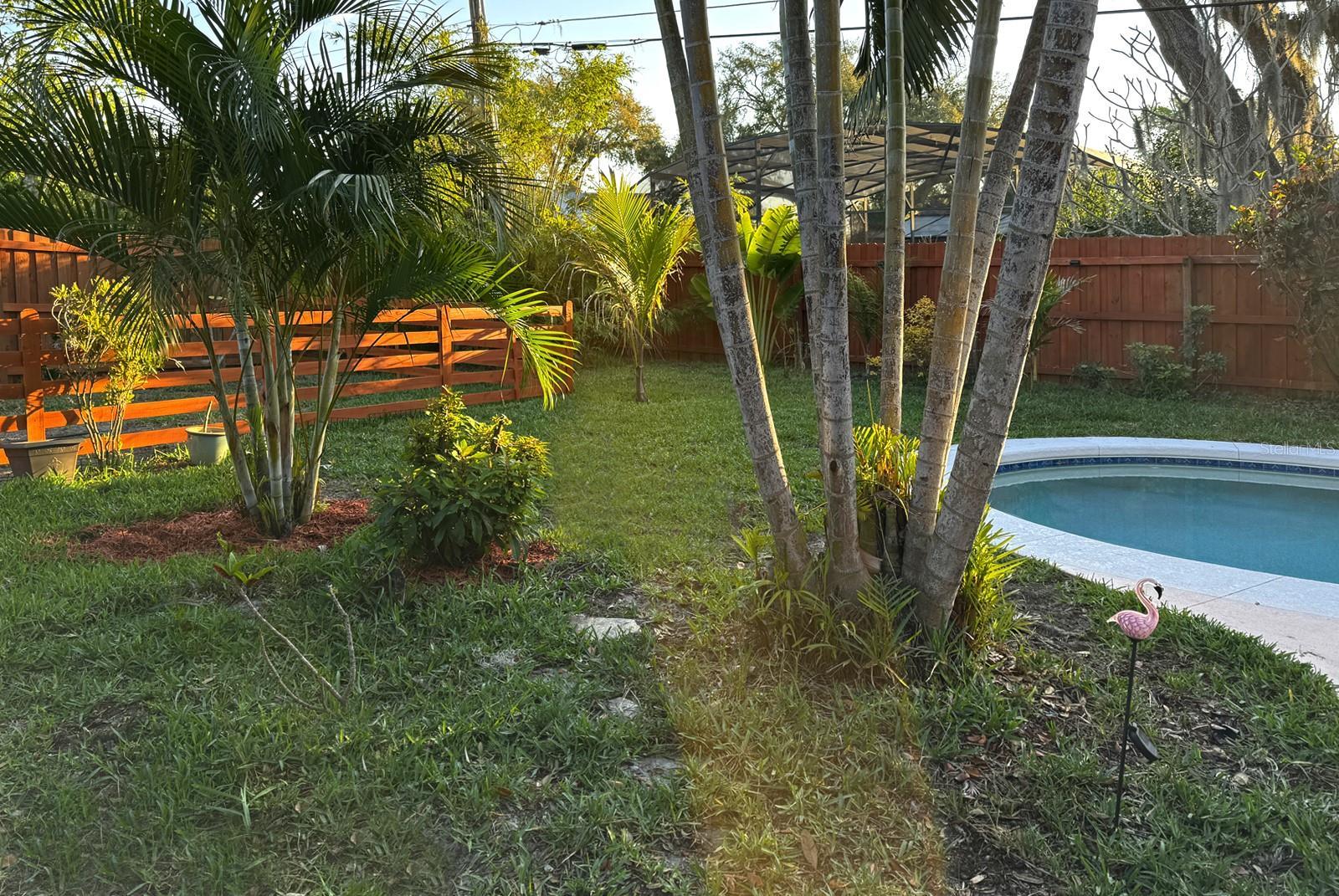 Photo #26