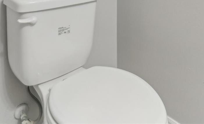 Photo #13