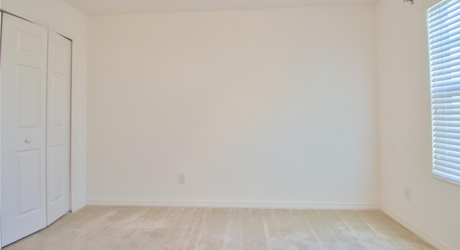 Photo #24