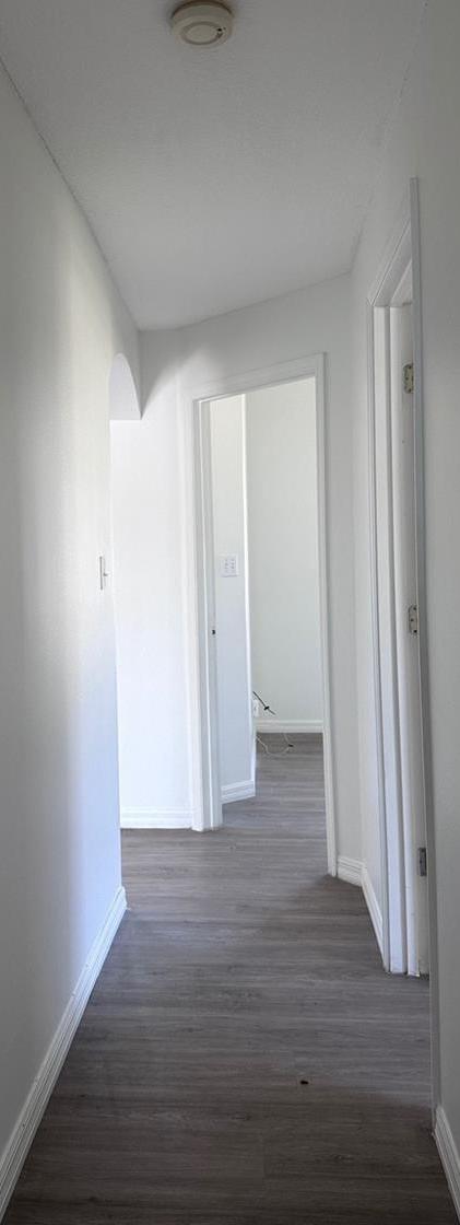 Photo #19