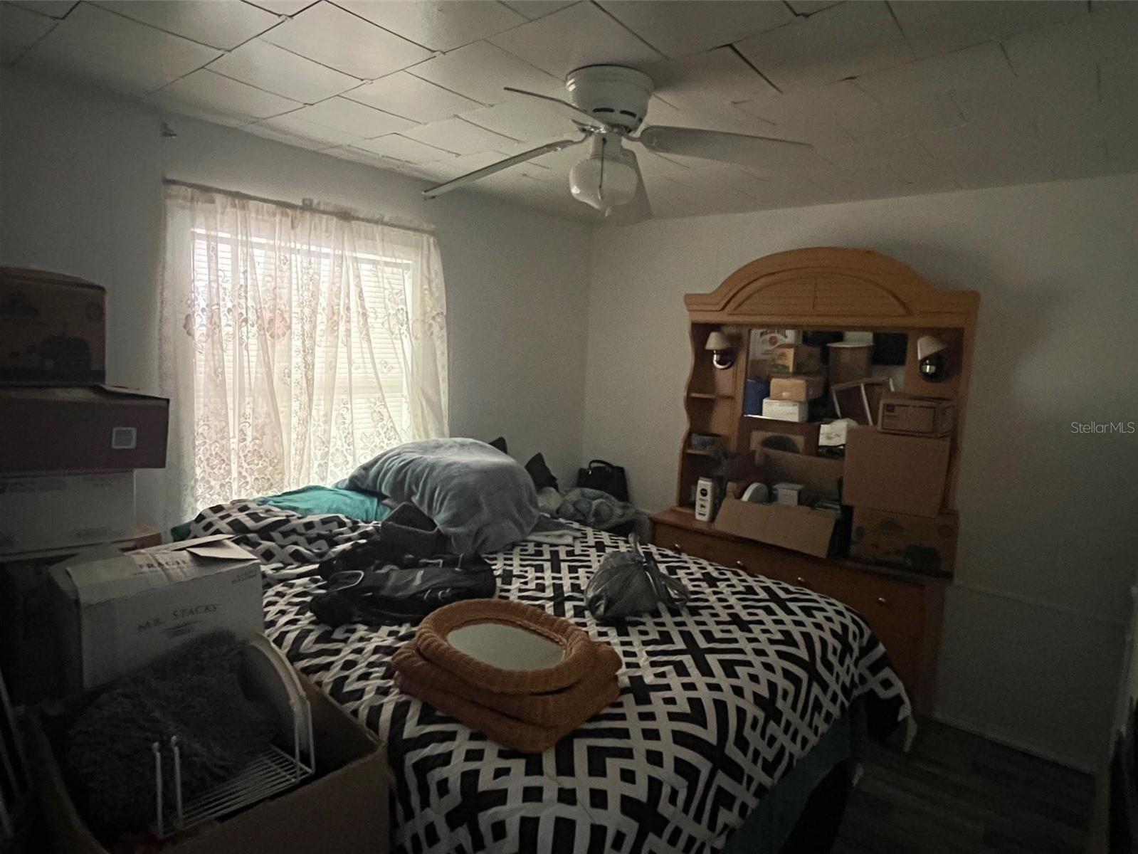Photo #6