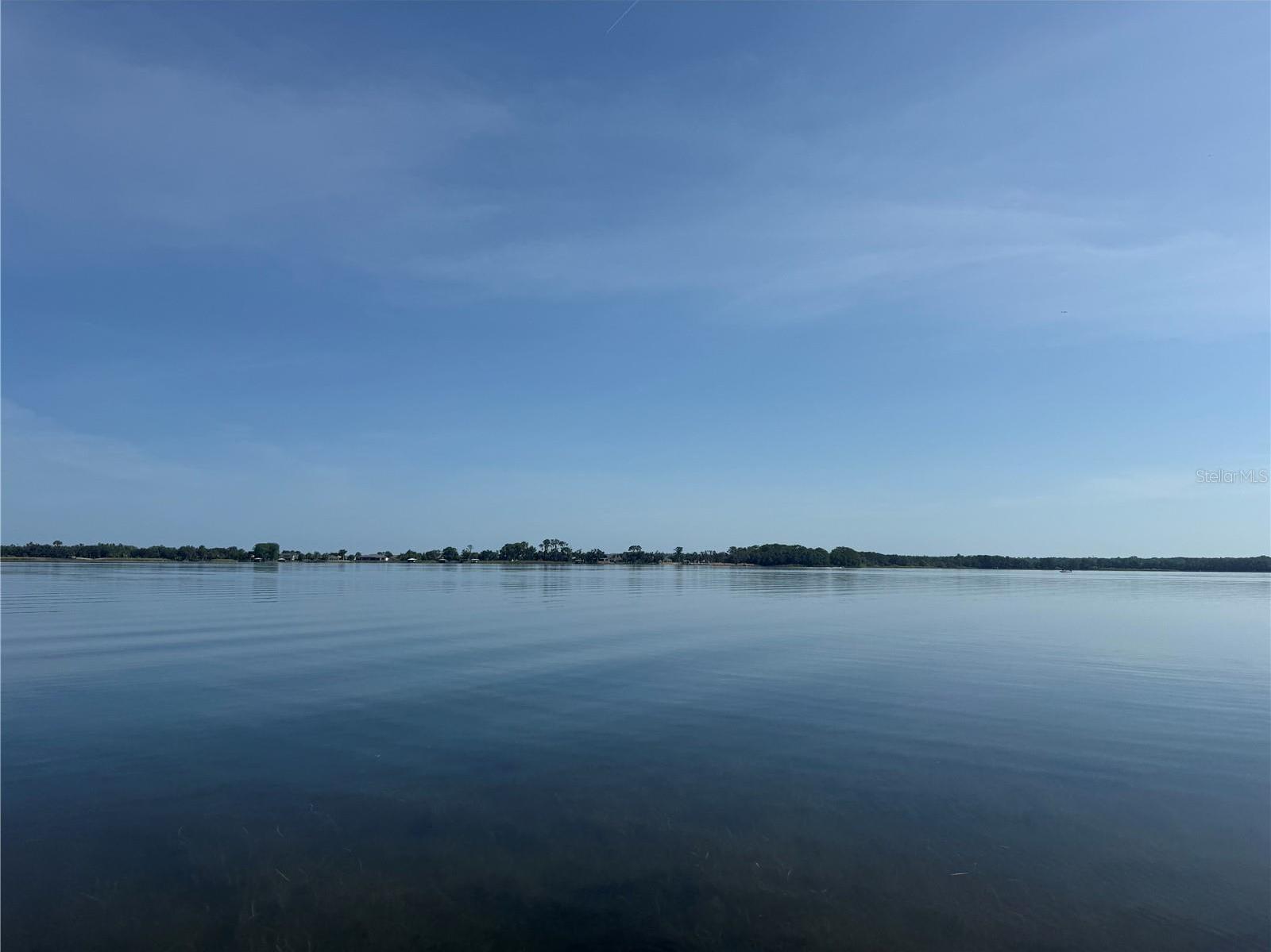 Photo #42