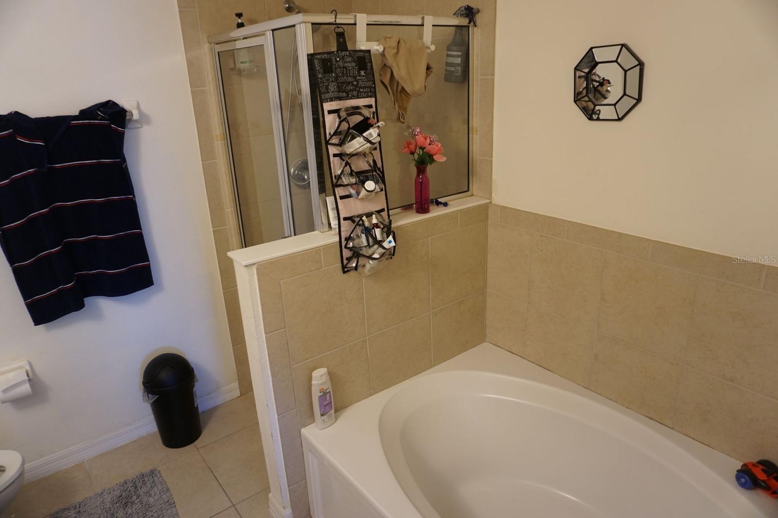 Photo #17