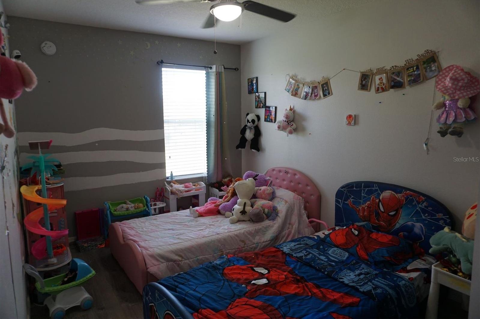 Photo #13