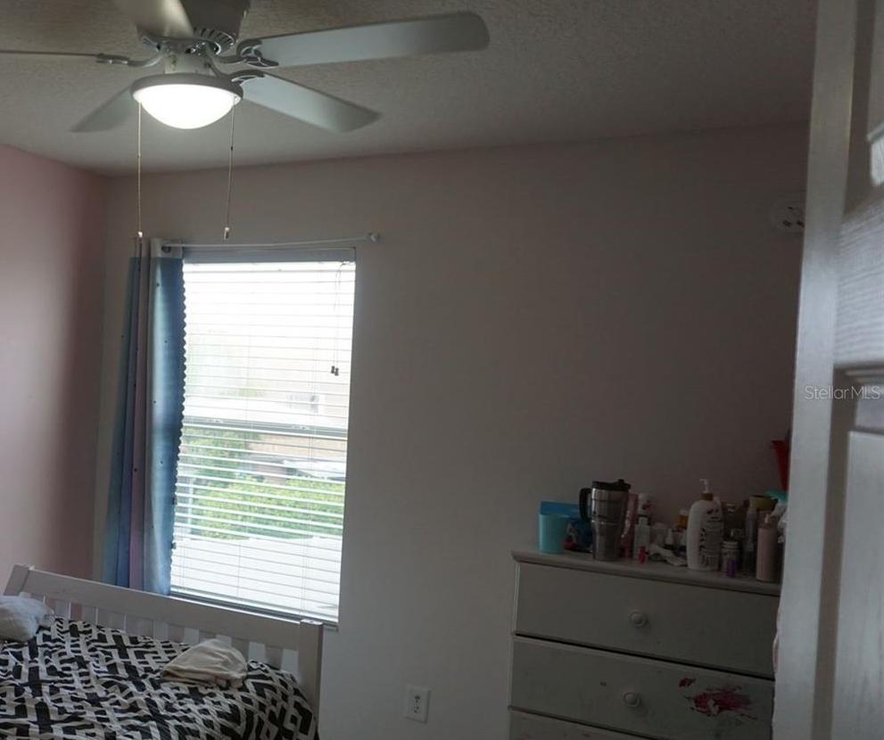 Photo #12