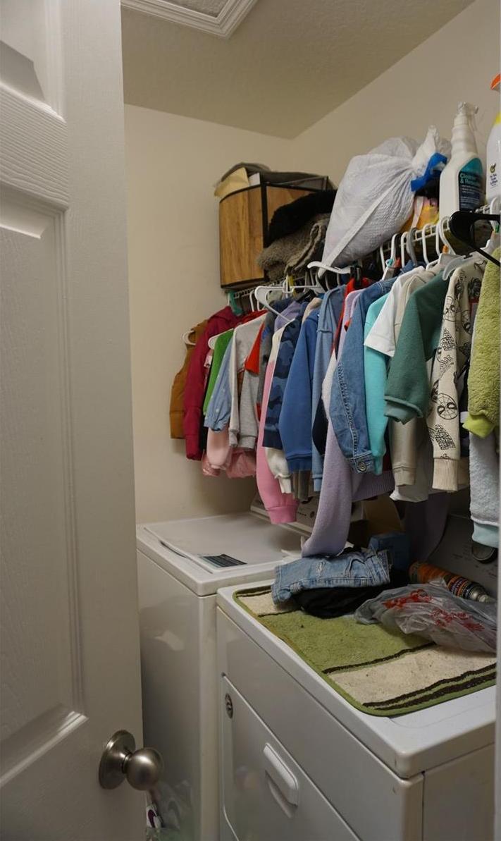 Photo #16