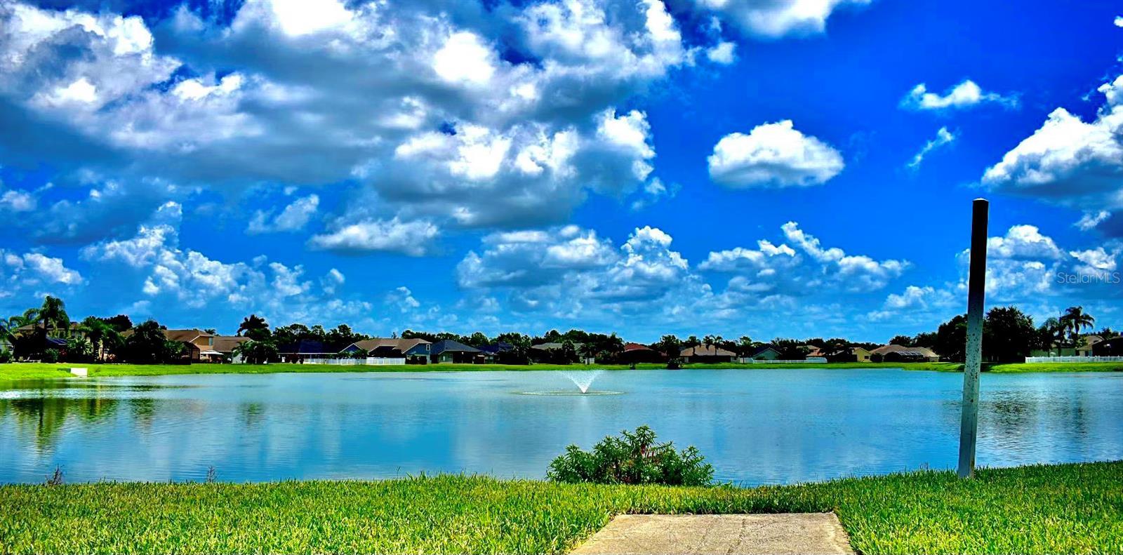 Photo #37