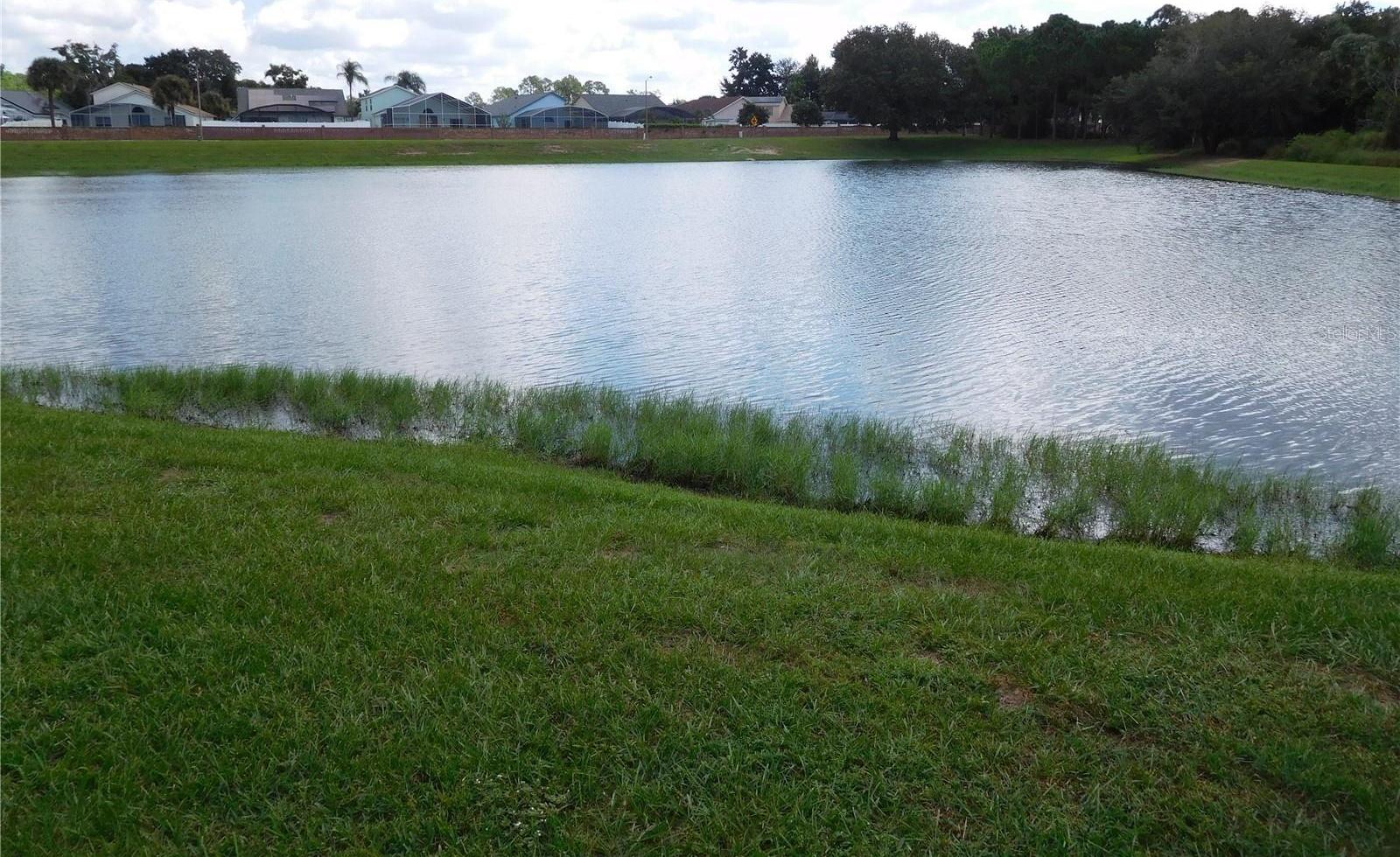 Photo #37