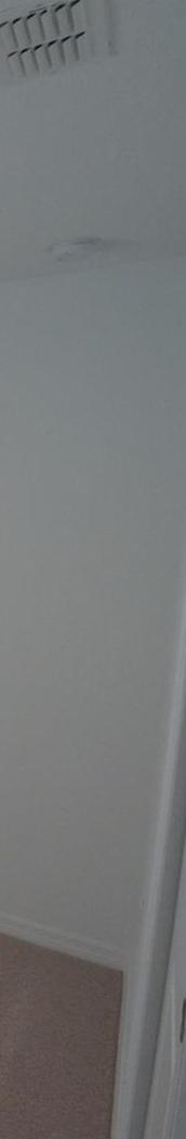 Photo #14