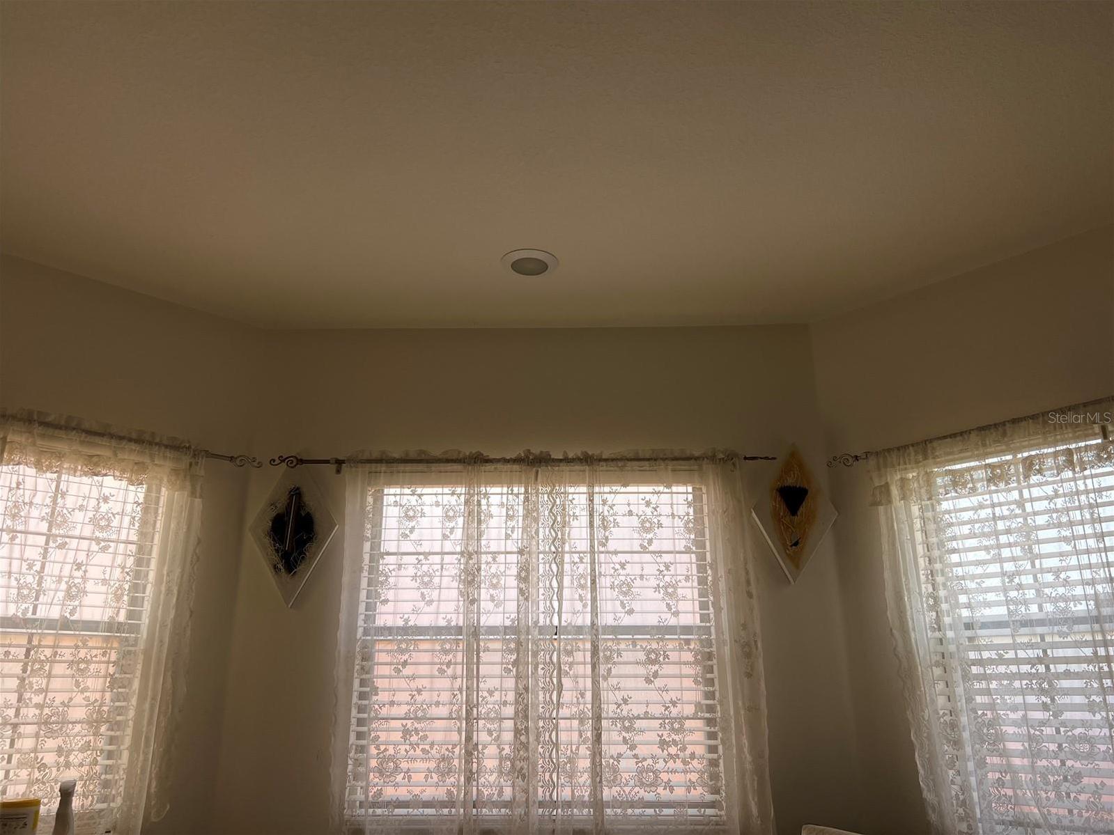 Photo #35