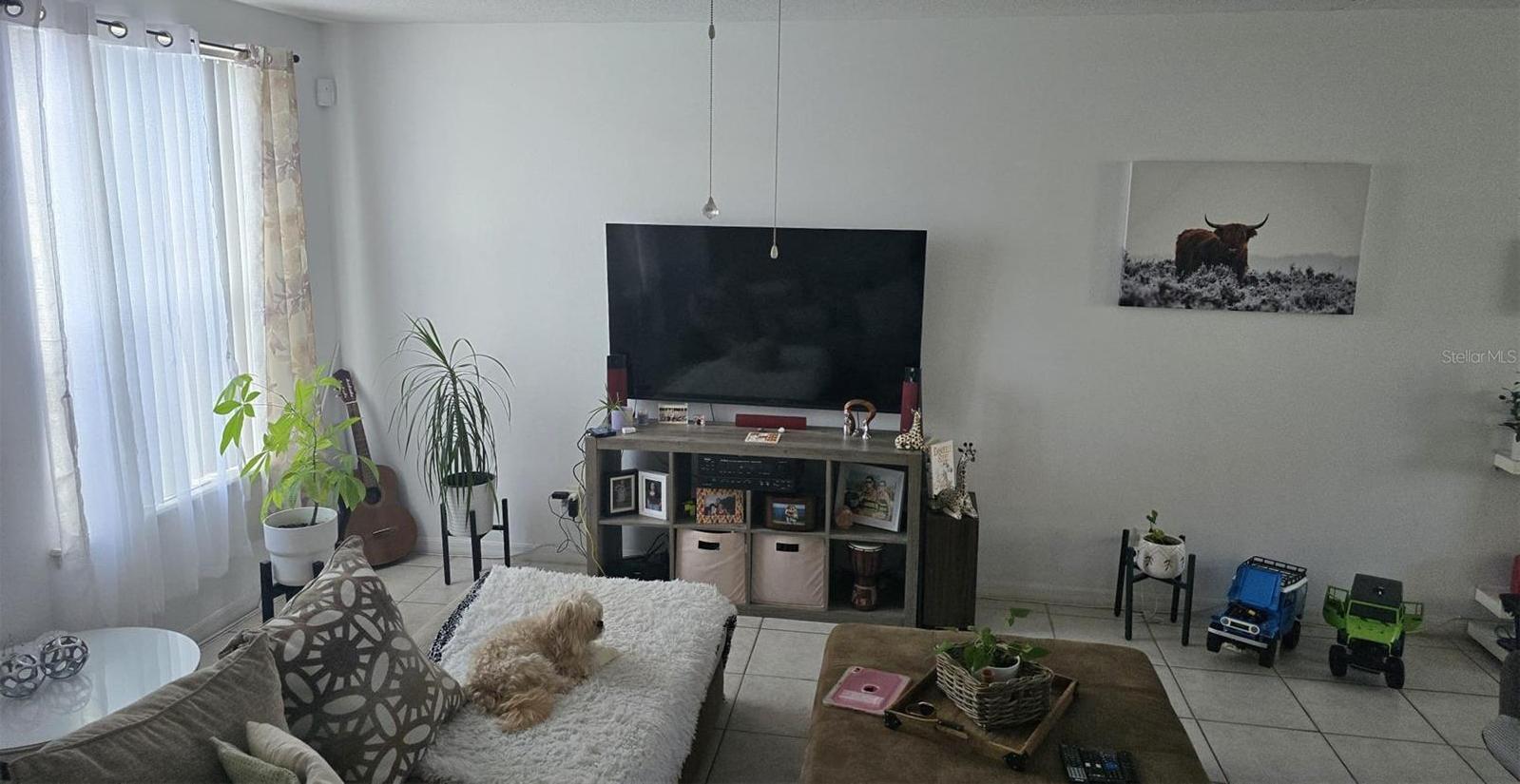 Photo #2