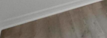 Photo #18