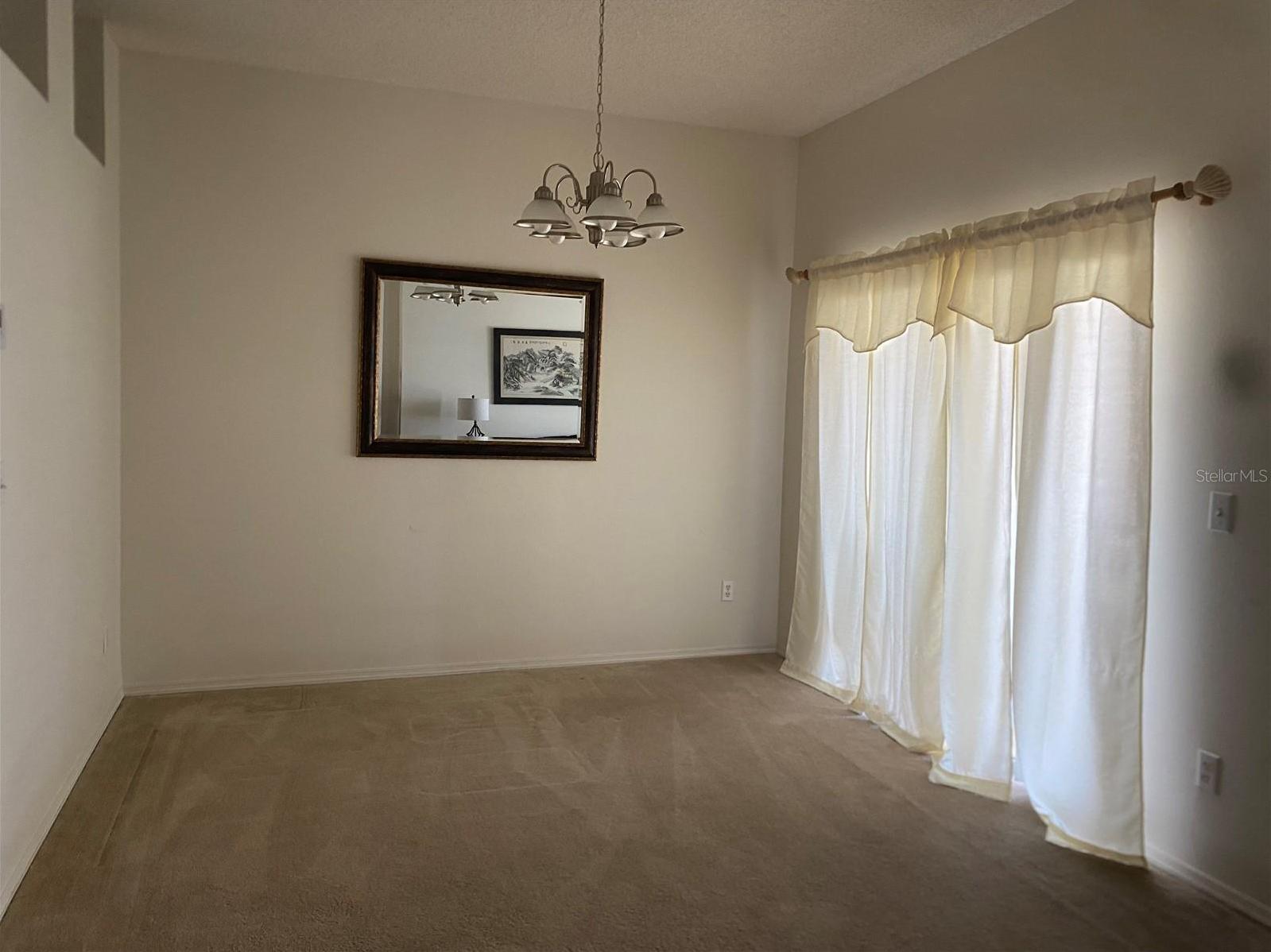 Photo #11