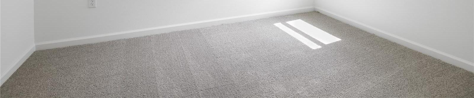Photo #10