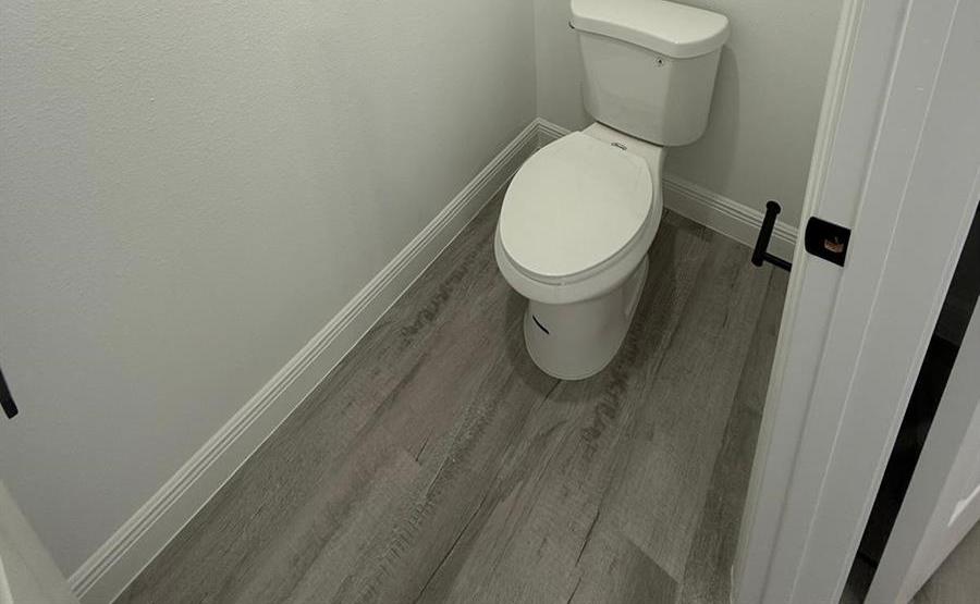 Photo #12