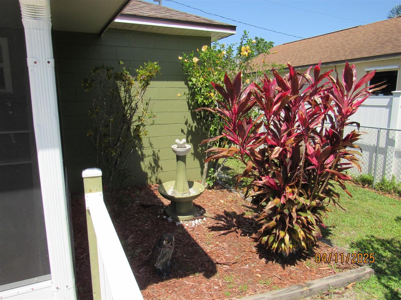 Photo #35
