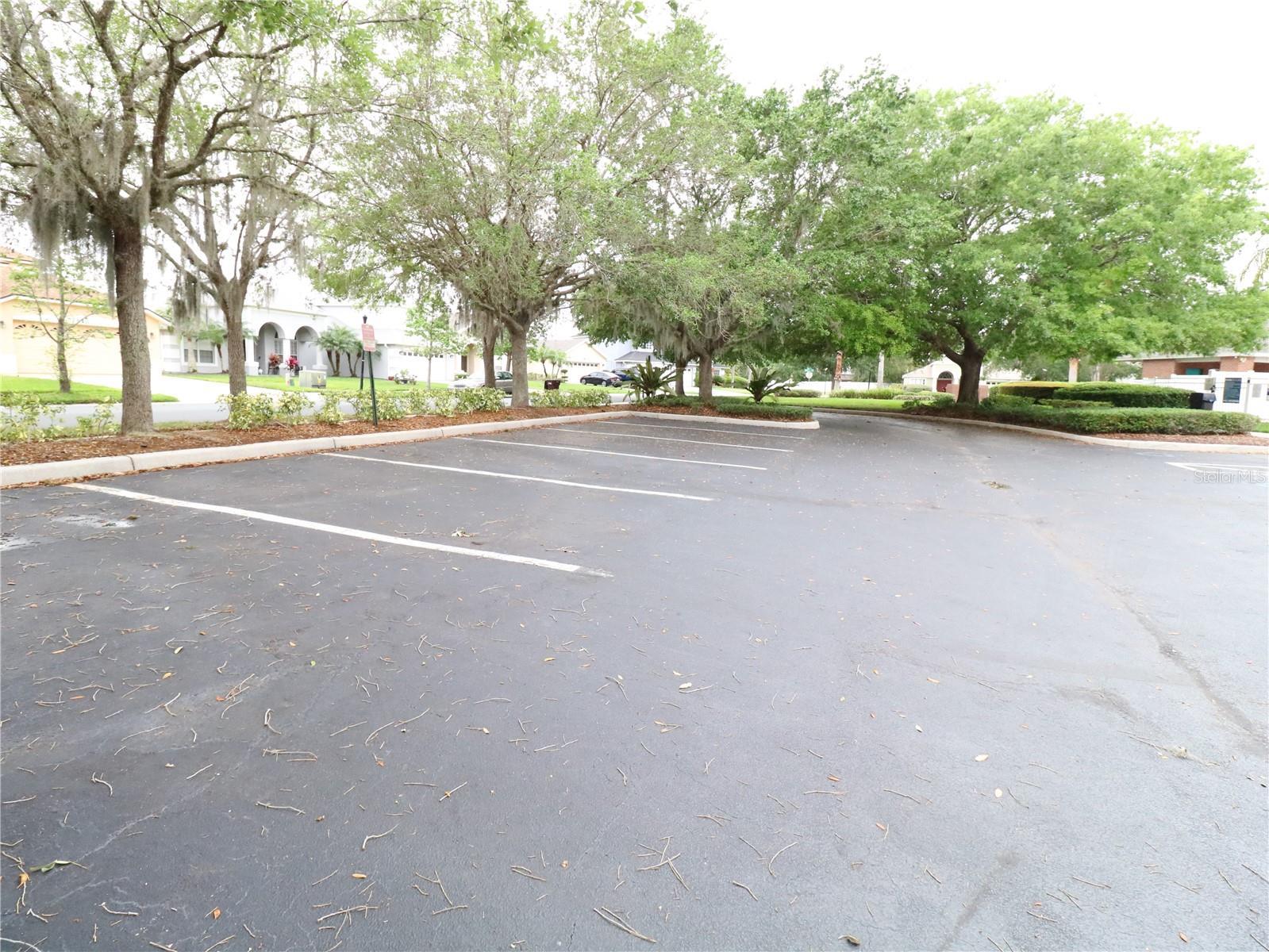 Photo #31