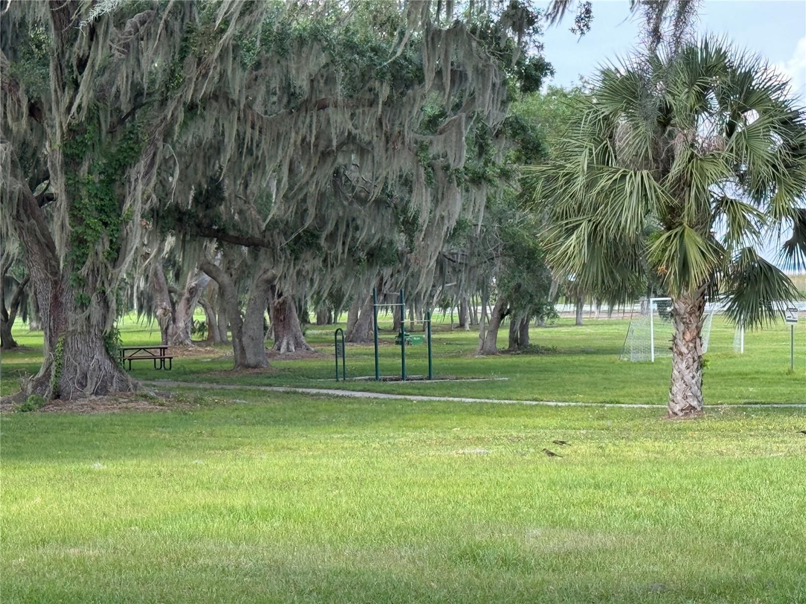 Photo #35