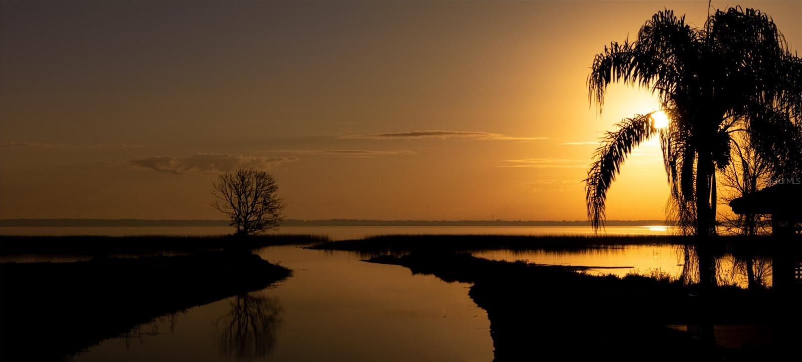 Photo #58