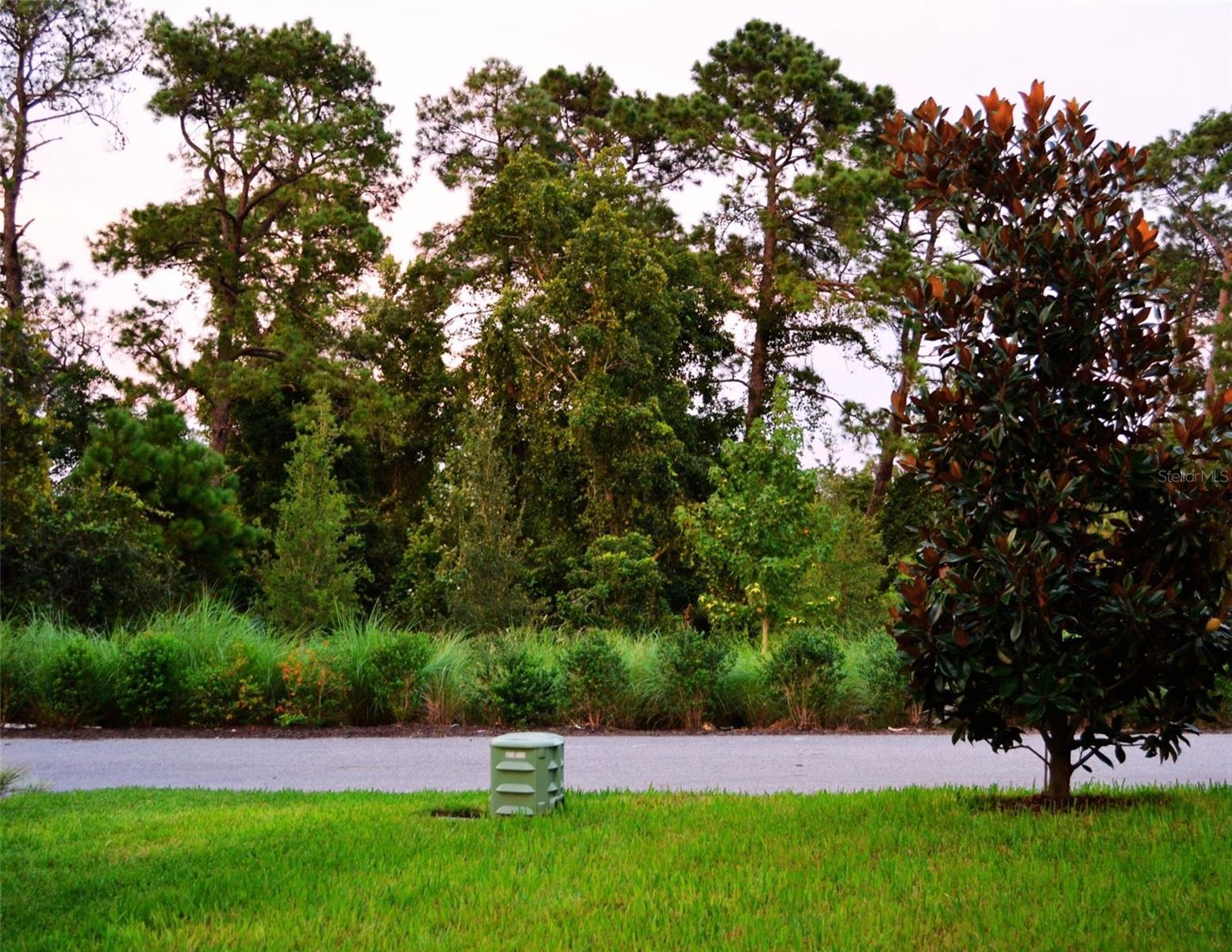 Photo #38